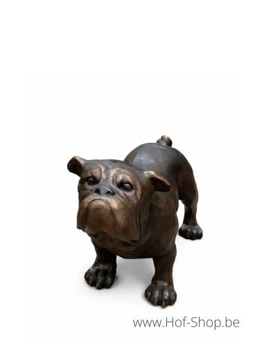 Bouledogue - statue en bronze (B81167)