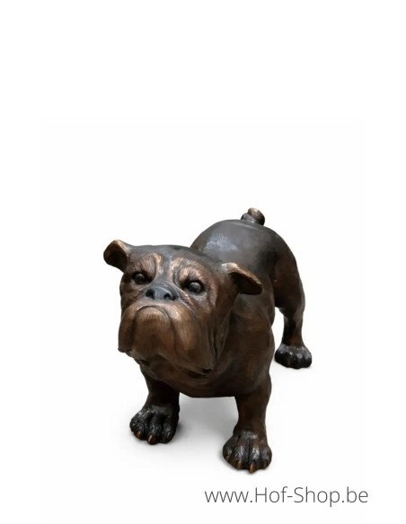 Bouledogue - statue en bronze (B81167)