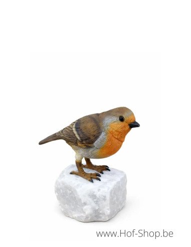 Robin - statue en bronze (BS1543C)