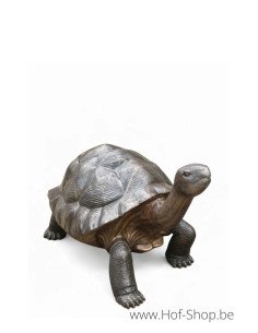 Tortue - statue en bronze (B1242)
