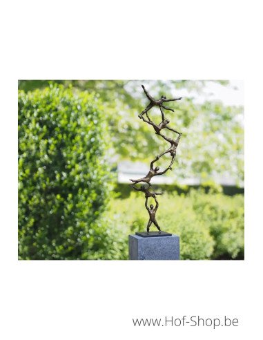 Spiral to the top - bronzen beeld (AN3012BR-BI)