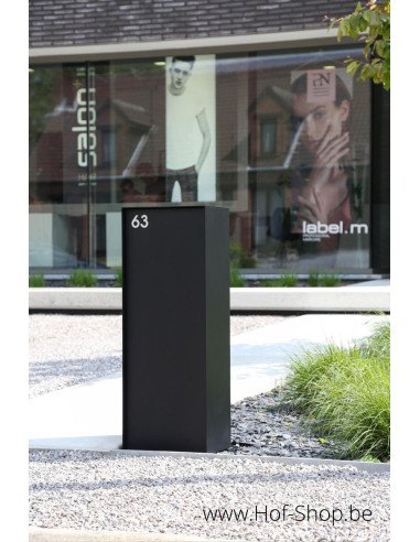 SHOWMODEL Dropbox Small RAL 9005 Back Door - eSafe boîte à colis aluminium