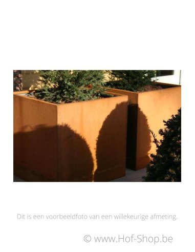 Carrez 90 x 30 x 80 cm - Jardinière Adezz en acier Corten