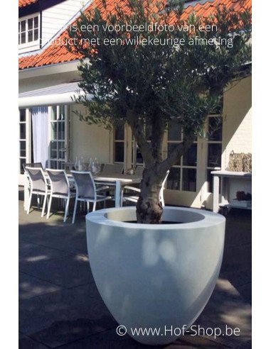 Canna 80 x 100 cm - Jardinière Adezz en polyester