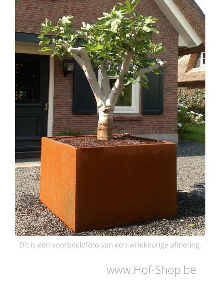 Carrez 140 x 140 x 60 cm - Jardinière Adezz en acier Corten