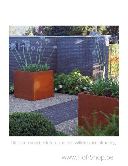 Carrez 140 x 140 x 60 cm - Jardinière Adezz en acier Corten