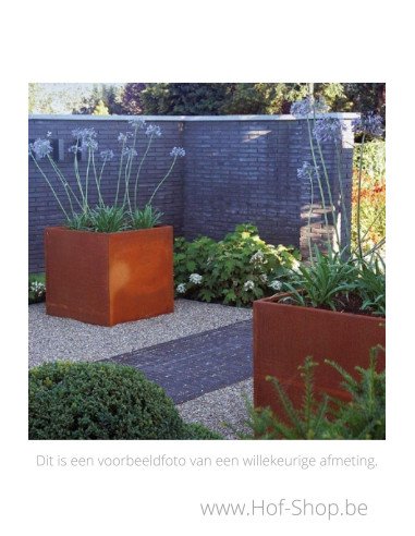 Carrez 140 x 140 x 40 cm - Jardinière Adezz en acier Corten