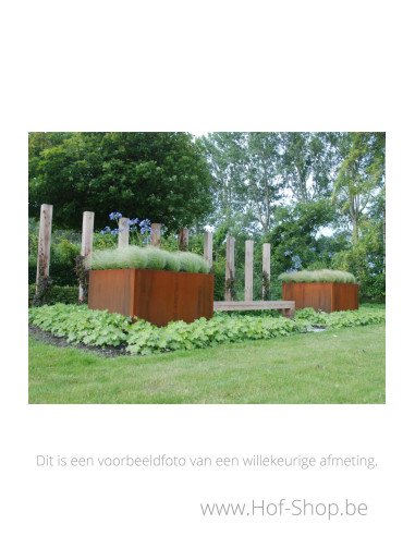 Carrez 120 x 120 x 60 cm - Jardinière Adezz en acier Corten