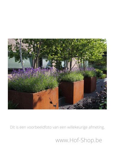 Carrez 120 x 120 x 60 cm - Jardinière Adezz en acier Corten