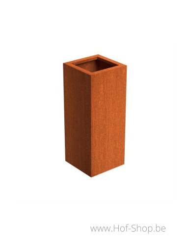 Andes 40 x 40 x 100 cm - Plantenbak in cortenstaal