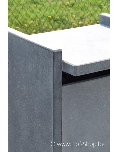 Everest Parcel - pakketbus arduin