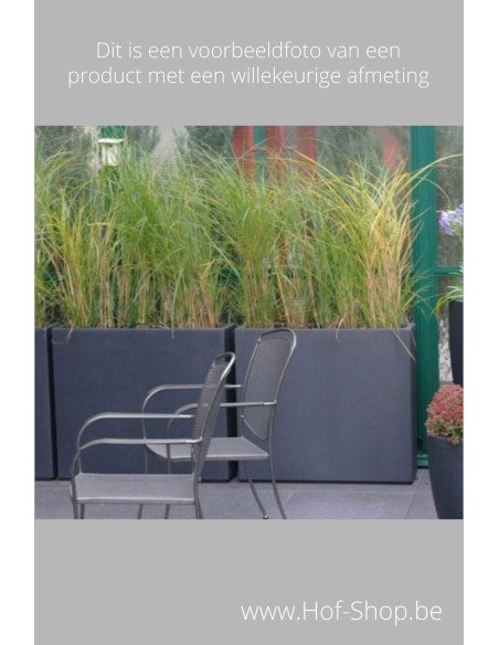 Buxus - Plantenbak in polyester