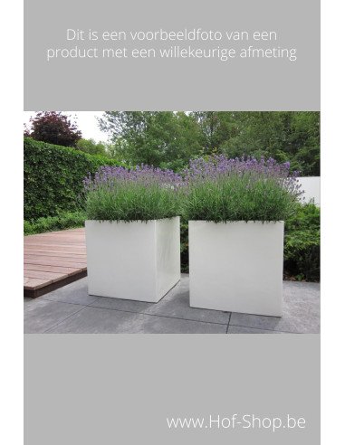 Carrez 200 x 200 x 40 cm - Jardinière Adezz en polyester