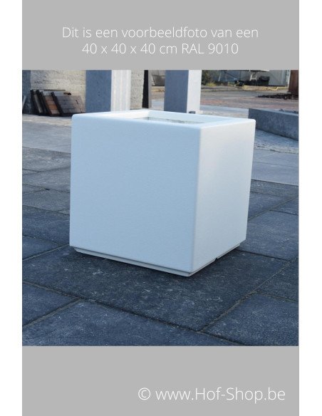 Buxus - Plantenbak in polyester