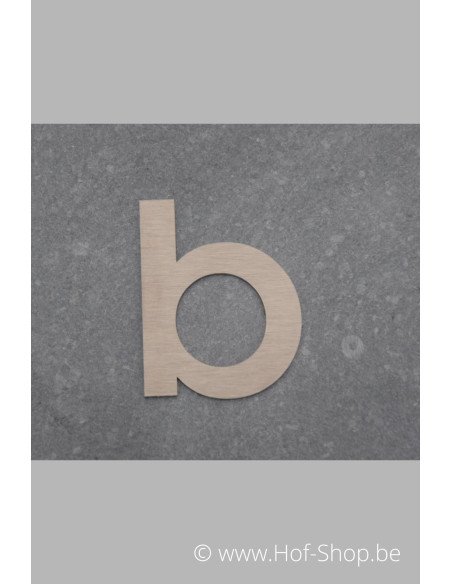 Letter B - inox 5 cm hoog