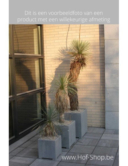 Square Modern 40 x 40 x 42 cm - VASP Jardinière en pierre bleue