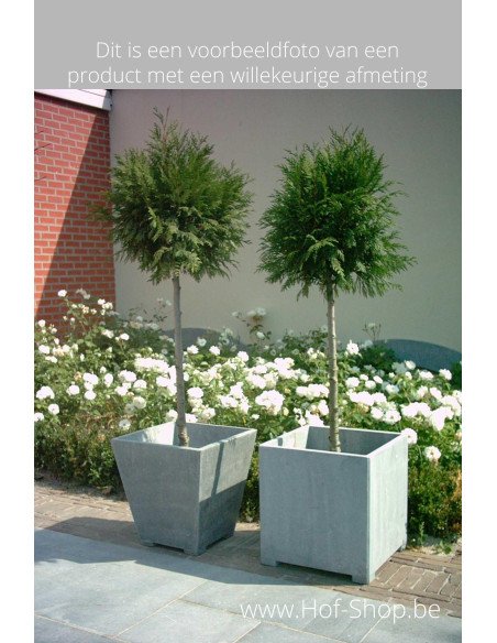 Square Modern 50 x 50 x 52 cm - VASP Jardinière en pierre bleue