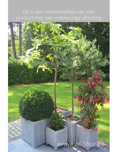 Square Modern 50 x 50 x 52 cm - VASP Jardinière en pierre bleue