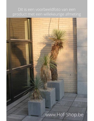 Square Modern 80 x 80 x 82 cm - VASP Jardinière en pierre bleue