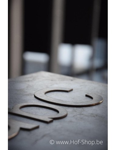 Letter C - inox 10 cm hoog (Ari)