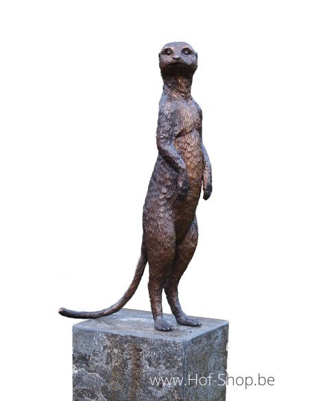 Suricate - statue en bronze (AN1332BR-B)