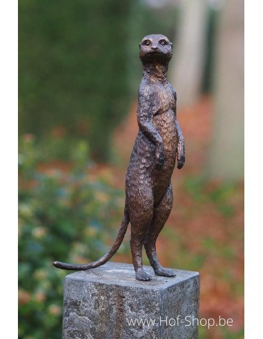 Stokstaartje - bronzen beeld