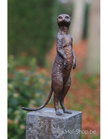 Stokstaartje - bronzen beeld