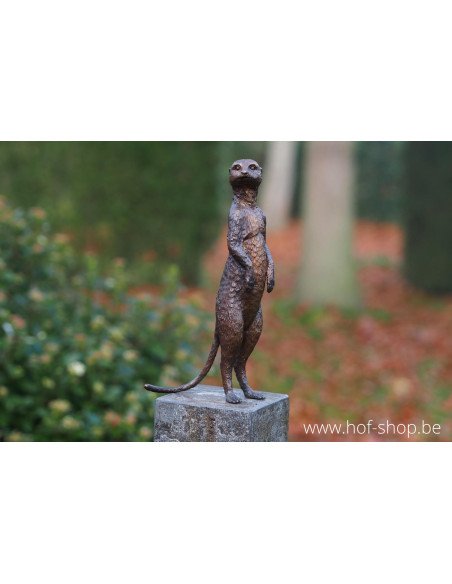 Stokstaartje - bronzen beeld