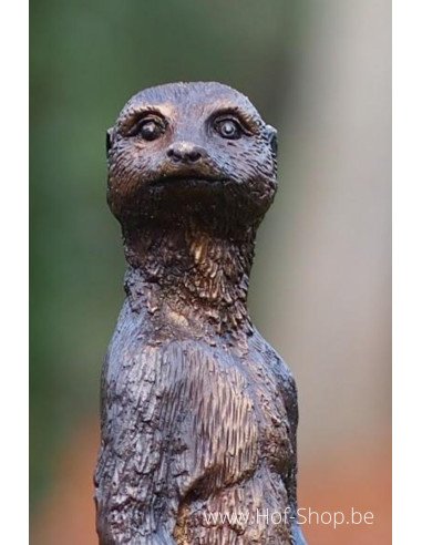 Stokstaartje - bronzen beeld