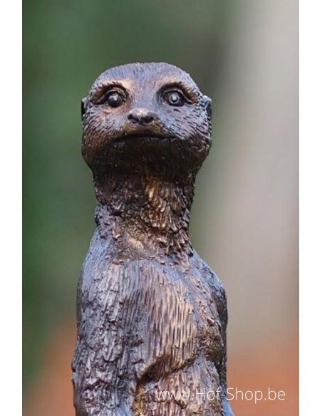 Stokstaartje - bronzen beeld