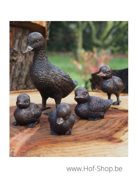 Ensemble de 5 canards - statue en bronze (AN0001BR-B)