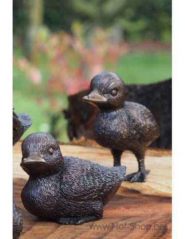 Ensemble de 5 canards - statue en bronze (AN0001BR-B)