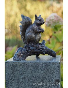 Écureuil sur branche - statue en bronze (AN1168BR-B)