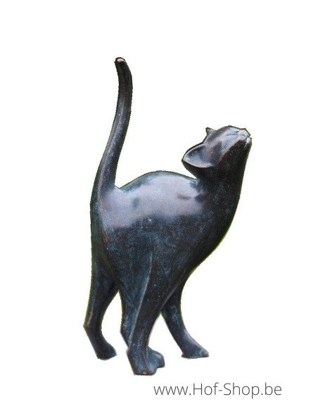 Moderne kat - bronzen beeld