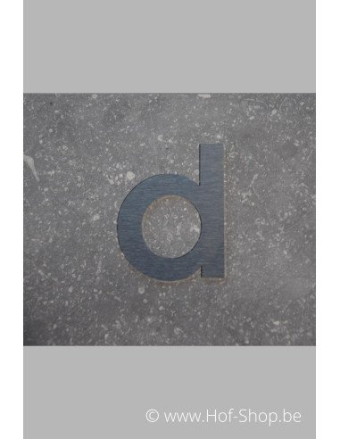 Letter D - inox 8 cm hoog (Fuji)