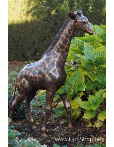 Kleine giraf - bronzen beeld (B860-1)