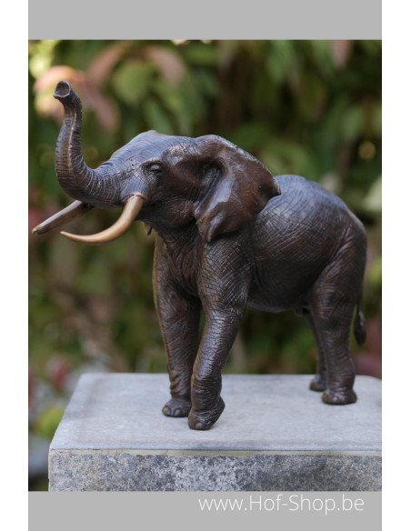 Olifant 36 cm - bronzen beeld (AN1310BR-B)