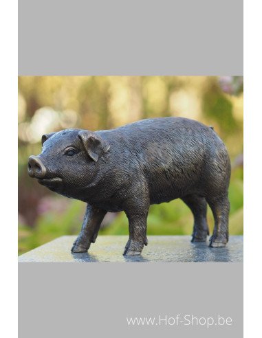 Cochon - statue en bronze (AN1170BRW-B)