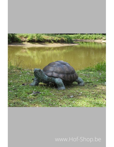 Tortue - statue en bronze (B58480)
