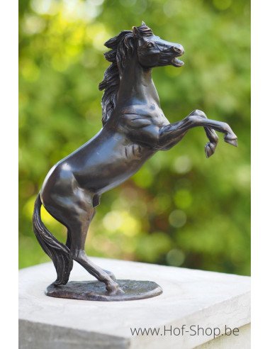 Petit cheval cabré - Sculpture en bronze (AN1100BR-B)