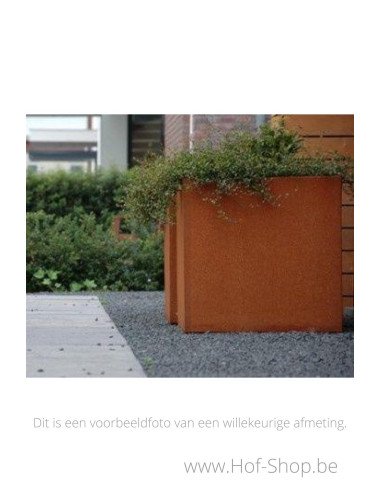 Carrez 200 x 100 x 60 cm - Jardinière Adezz en acier Corten